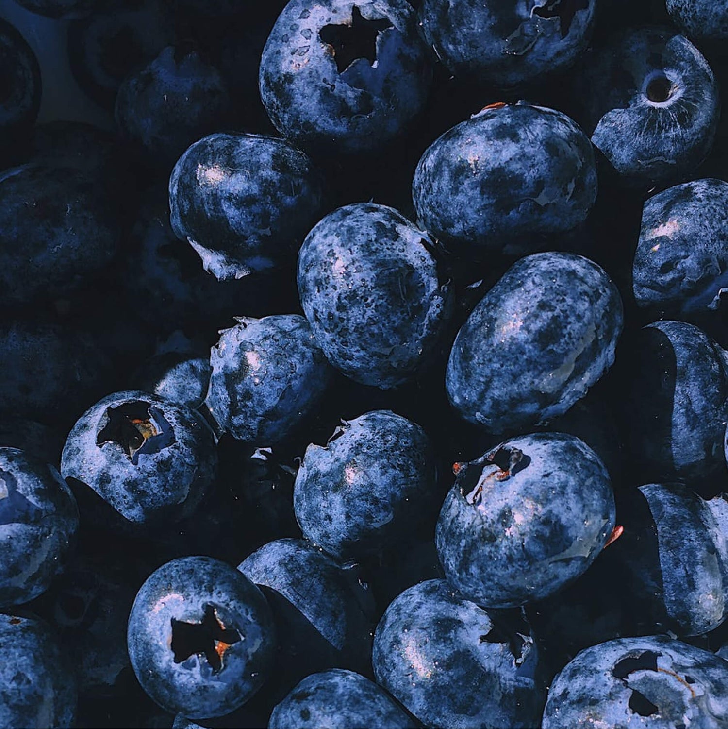 A close-up of fresh blueberries with a dark, moody tone.