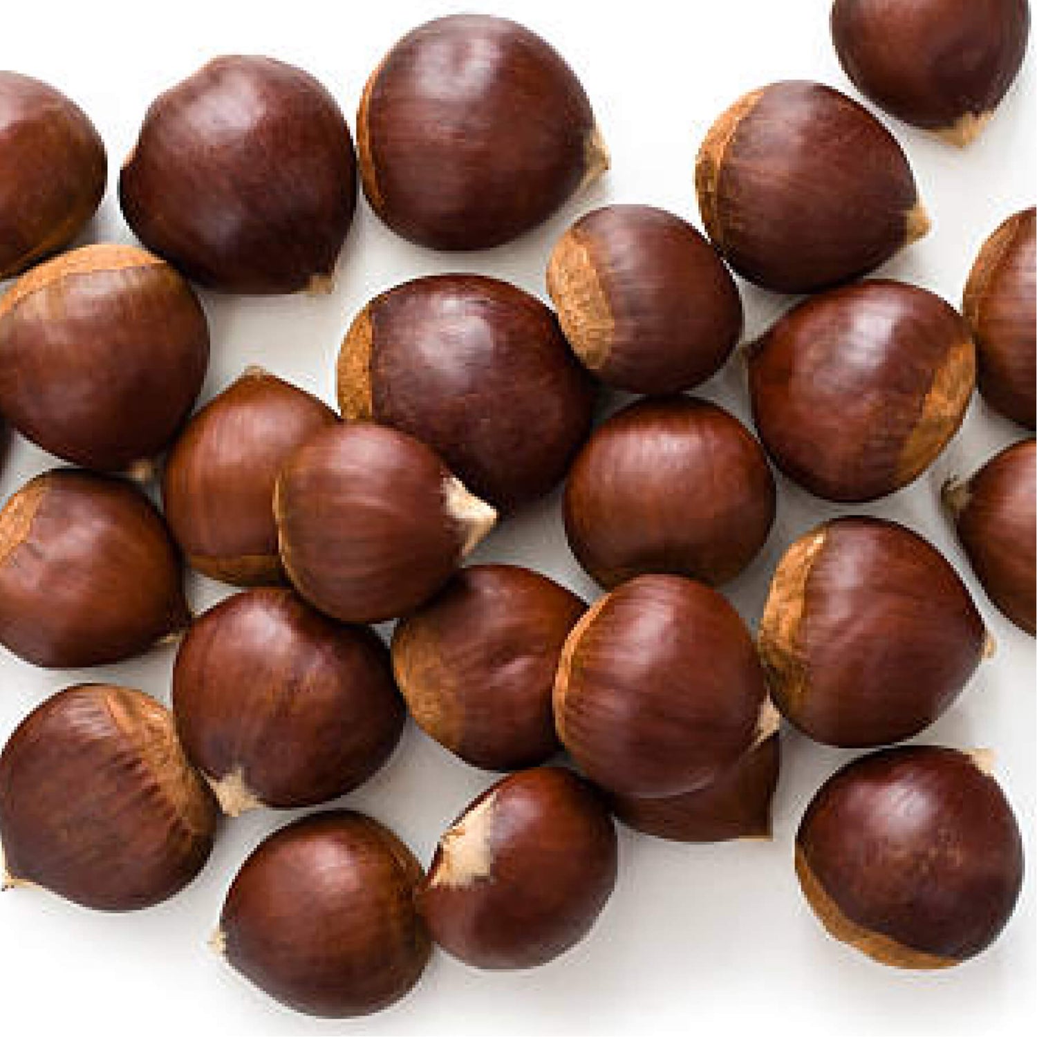 A collection of raw chestnuts on a white background.