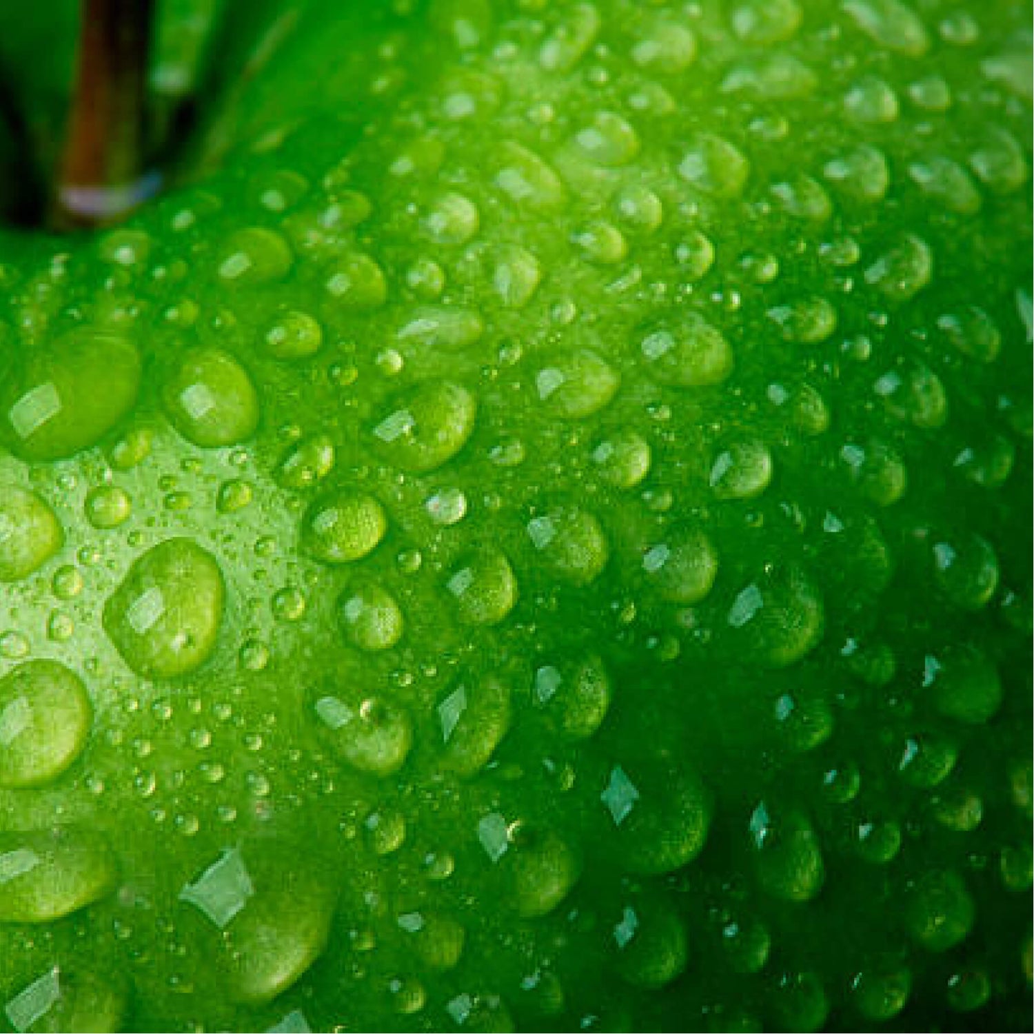 Close-up of a green apple with water droplets.