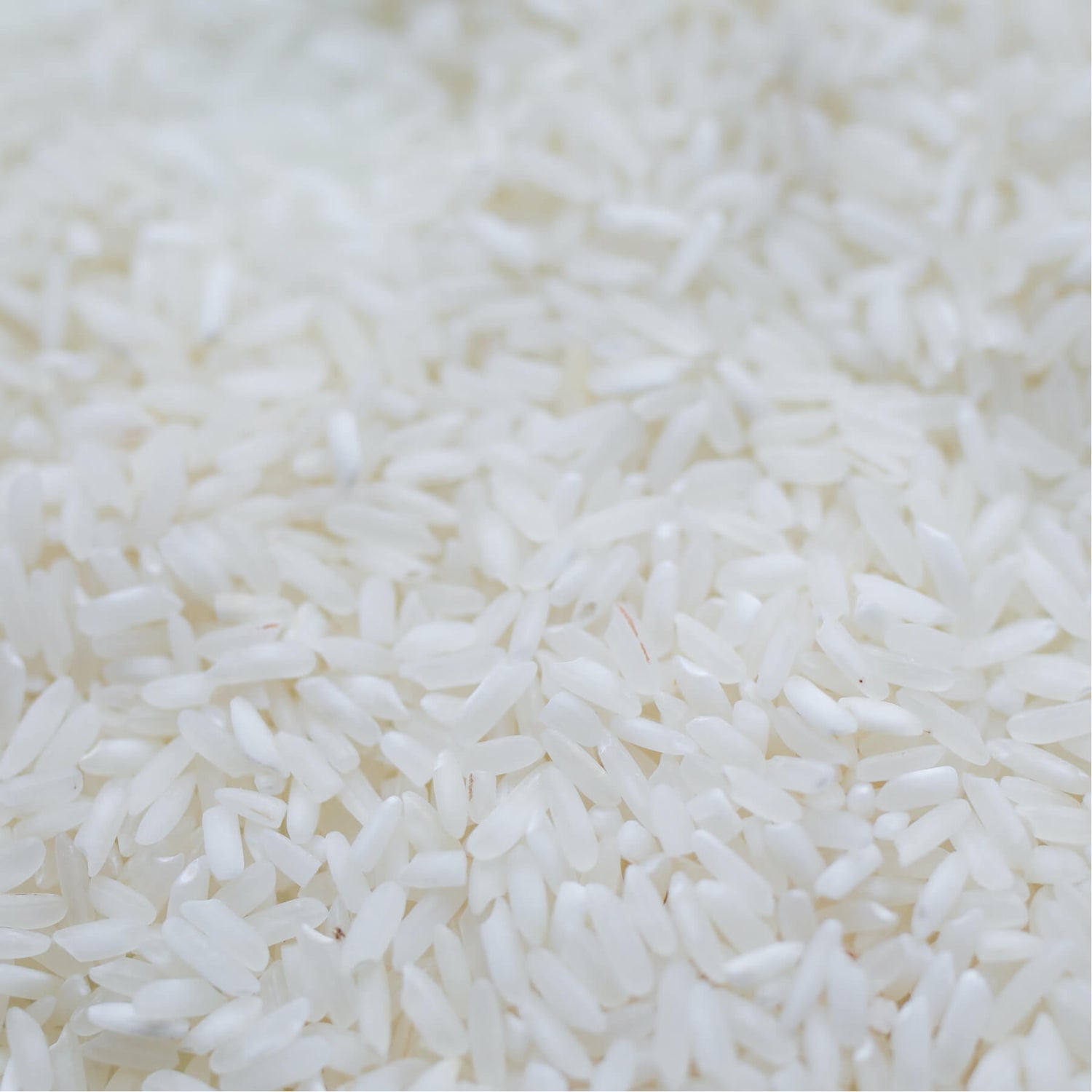 Close-up of uncooked white rice grains.
